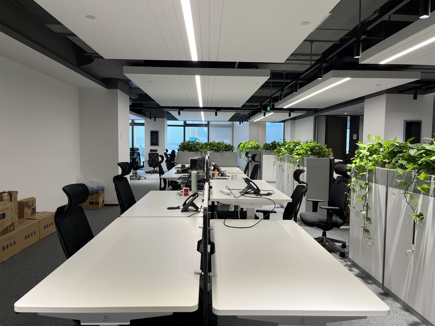 尊龙集团 (中国区)官方网站